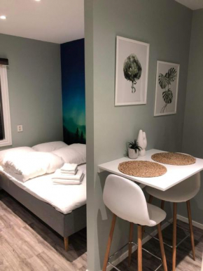 Central studio apartment Apt 104